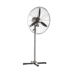 Fanlar